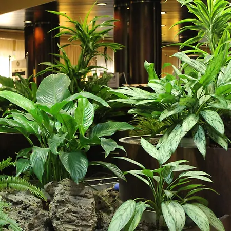 Venice Michelangelo Mestre