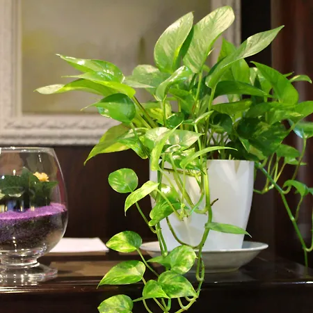 Venice Michelangelo Mestre