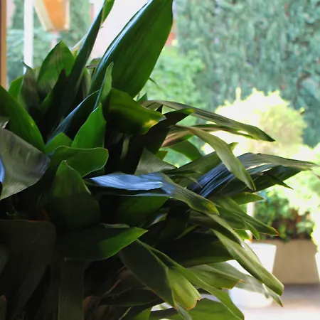 Venice Michelangelo 4*